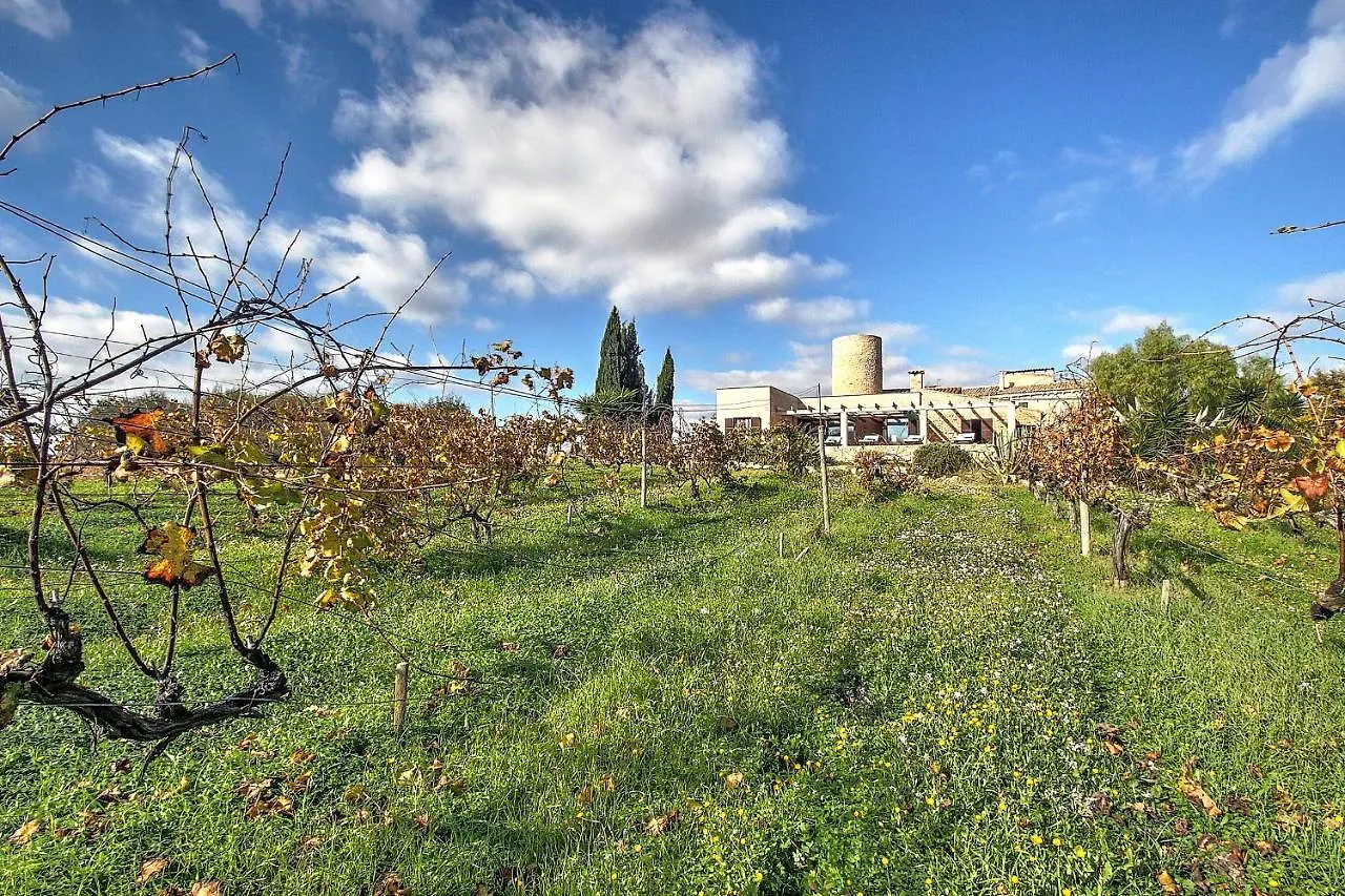 Villa Son Bennassar Felanitx Spain